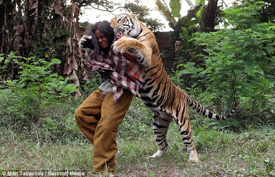 Polisi Usut Dugaan Perambahan Hutan di Lokasi Konflik Manusia Vs Harimau