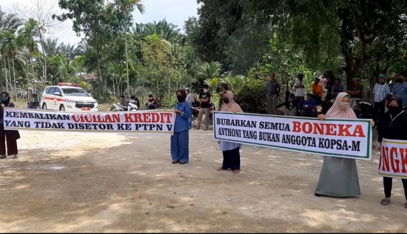 SETARA Minta Polri Stop Kasus Kriminalisasi Petani Kopsa-M Kampar