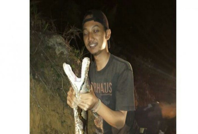 Ular Piton yang Berkeliaran Dekat Pemukiman Warga di Kuansing Ditaklukkan Pemuda Ini