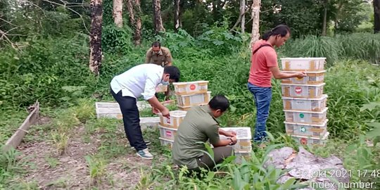 Angkut 840 Burung Tanpa Dokumen Resmi, Dua Supir Travel Diperiksa BBKSDA