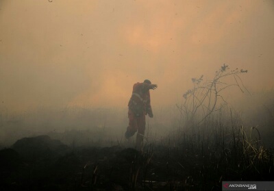 Hotspot di Sumatera Terpantau 260, Riau Ada 57 Titik