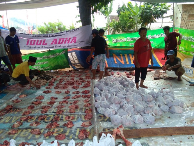 Kementan Atur Pelaksanaan Qurban di Tengah Pandemi