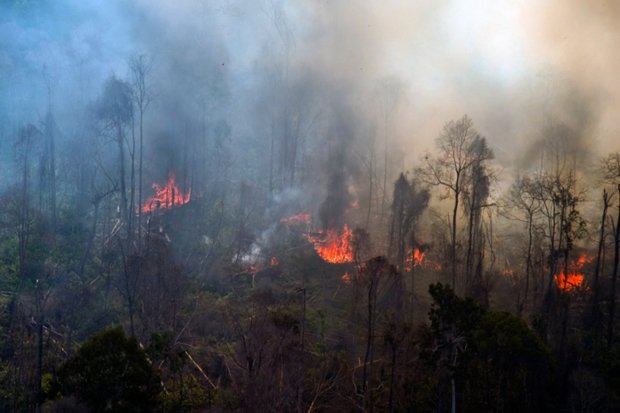 Riau Siapkan Aplikasi Mata Asap Hadapi Ancaman Karhutla pada Agustus 2021 