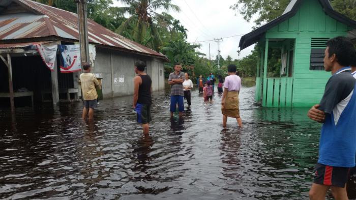 Dua Kecamatan di Kabupaten Bengkalis Terendam Banjir