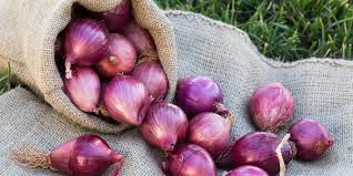 Airlangga Awasi Harga Bawang Merah, Biang Kerok Inflasi