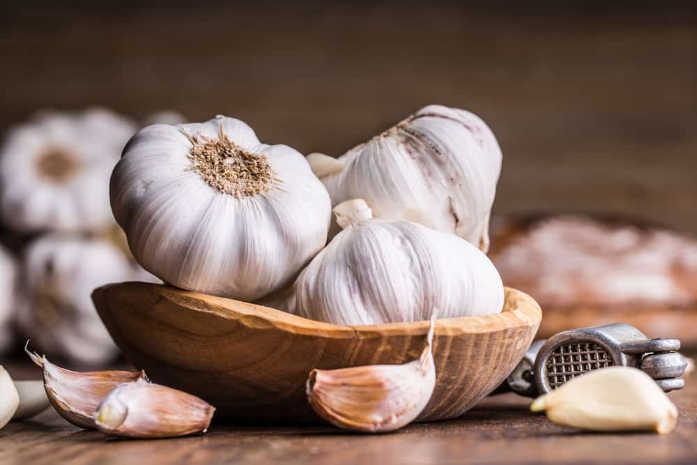 Selain sebagai Penyedap Rasa, Bawang Putih Memiliki Manfaat bagi Kesehatan Tubuh