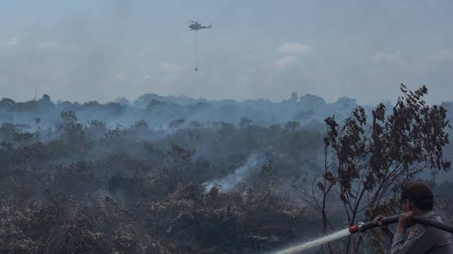 Curah Hujan Tinggi, Status Siaga Darurat Karhutla Dicabut