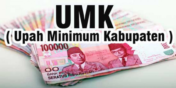 Pasca Tetapkan UMP, Disnaker Surati Kabupaten dan Kota Tetapkan UMK 2022