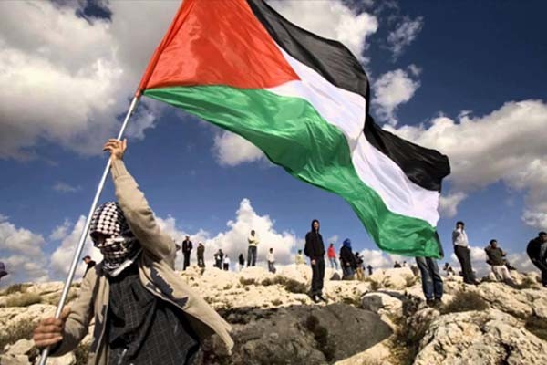Demonstran Palestina Tewas di Tengah Aksi Demonstrasi
