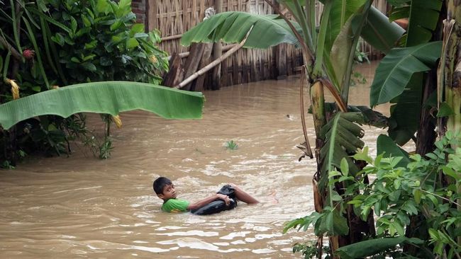 Industri Alkohol dan Ternak Babi Diduga Cemari Bengawan Solo