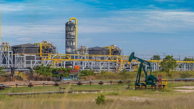 Belum Dirasakan Masyarakat Riau, PT PHR Diminta Serap Tenaga Kerja Lokal