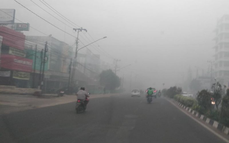 Satgas Sebut Asap Karhutla Bahaya Buat Pasien Covid-19