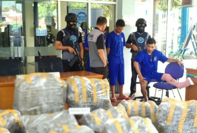 183 Kg Ganja Berhasil Diamankan BNNP Sumbar dari Tangan 3 Tersangka