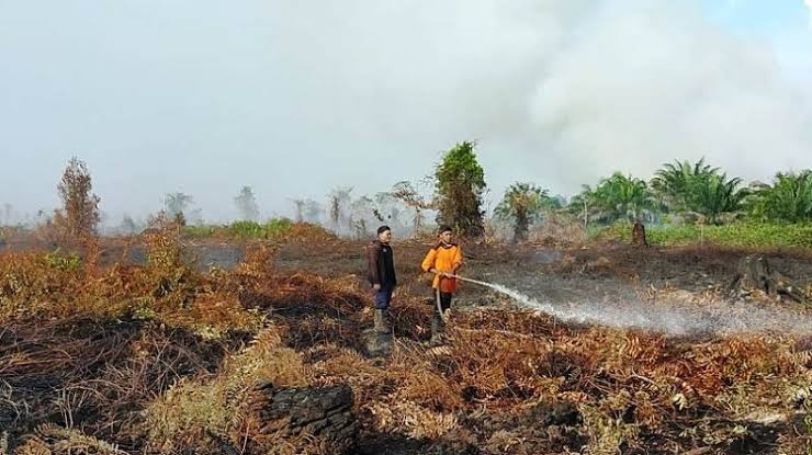 346 Desa di Riau Rawan Kebakaran Hutan dan Lahan