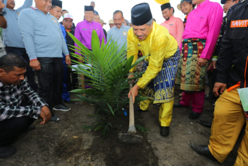 122,8 ha sawitnya diremajakan, Petani Empang Pandan Siak budidaya tumpang sari