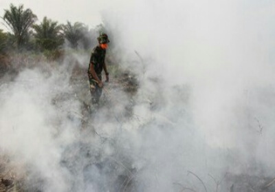 TNI Siapkan Pasukan dan Helikopter Water Bombing untuk Padamkan Karhutla di Riau