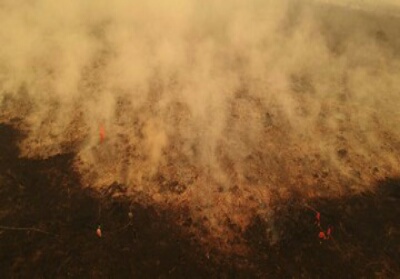 Kabut Asap Makin Pekat, ASN Hamil di Jambi Diliburkan