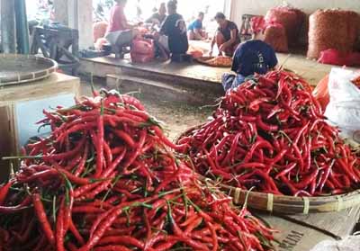 Atasi Inflasi Cabai yang Capai 1,20 Persen, BI Segera Gelar Pertemuan Tingkat Tinggi