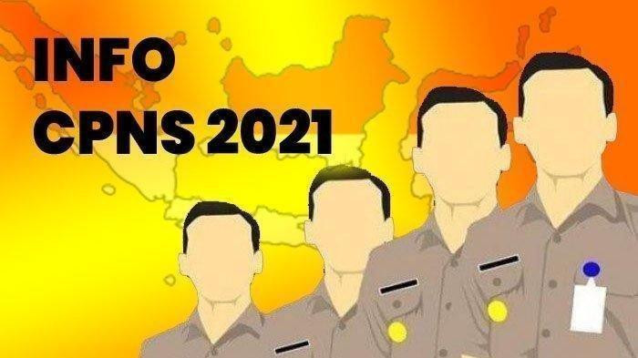 Pendaftaran CPNS 2021 Dibuka 31 Mei, Ini Syarat dan Cara Daftarnya 