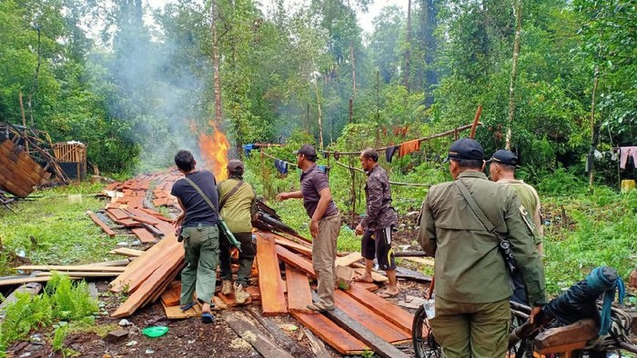 Pondok Persembunyian Pembalak Liar Dibakar di Kawasan Konservasi Riau 