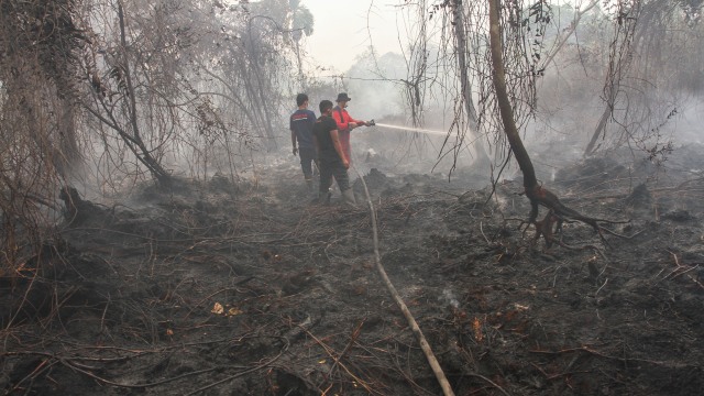 Jikalahari Laporkan PT Arara Abadi ke Polda Riau