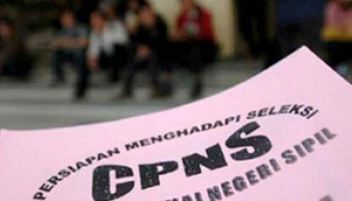 CPNS Kembali Dibuka Pada Oktober, Ada 254.173 Posisi yang Dibutuhkan