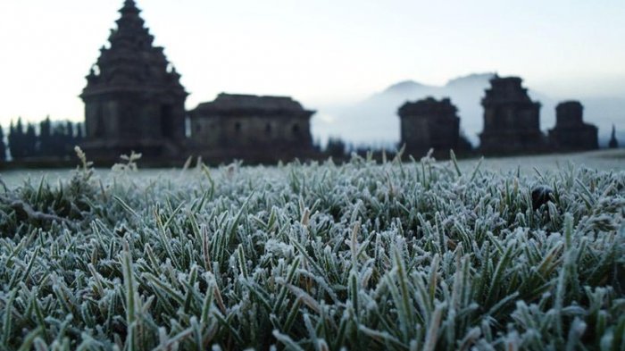 Fenomena Embun Salju di Dieng, Berikut Penjelasan BMKG