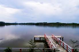 DLHK Pekanbaru Ungkap Ada Pencemaran Lingkungan Di Danau Buatan