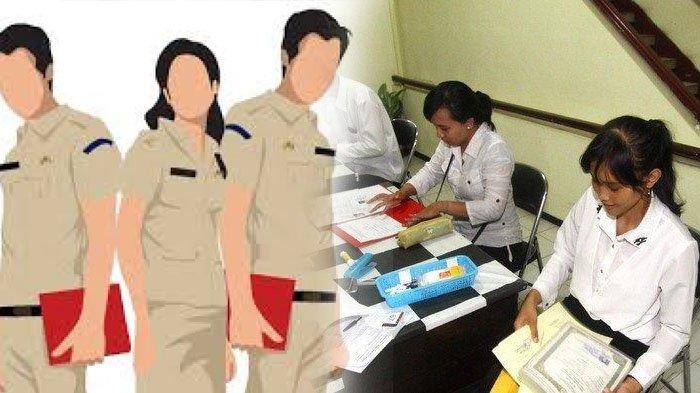 Catat! Ini Formasi Prioritas Lowongan CPNS 2021