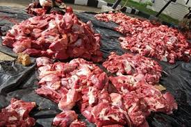 Impor Dari India, Bulog Riau Kembali Datangkan 100 Ton Daging Kerbau Beku