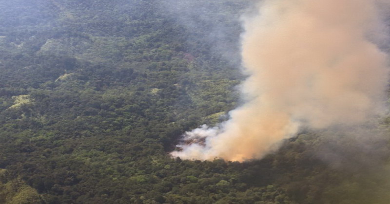 Kabut Asap mulai terpantau di Pelalawan, Riau