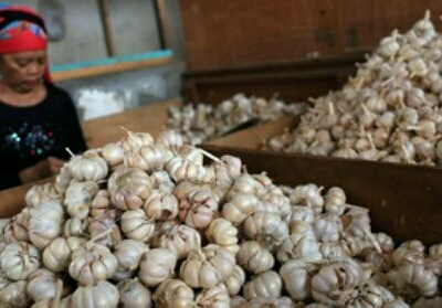 Akan Impor 100 Ribu Ton Bawang Putih China, Bulog Tunggu Surat Penugasan Menteri 