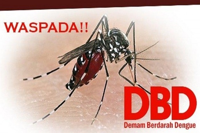 Kasus DBD Tertinggi Ada di Tenayan Raya 