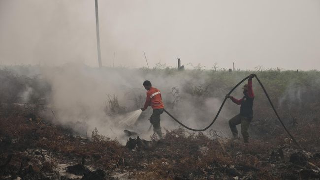 Bupati Inhil: Sudah Dikoordinasikan agar Mempercepat Penanganan Kebakaran lahan di Inhil  