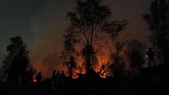 Ini 13 Kebijakan Strategis Pemprov Riau Tanggulangi Karhutla yang Akan Dilanjutkan Tahun Ini