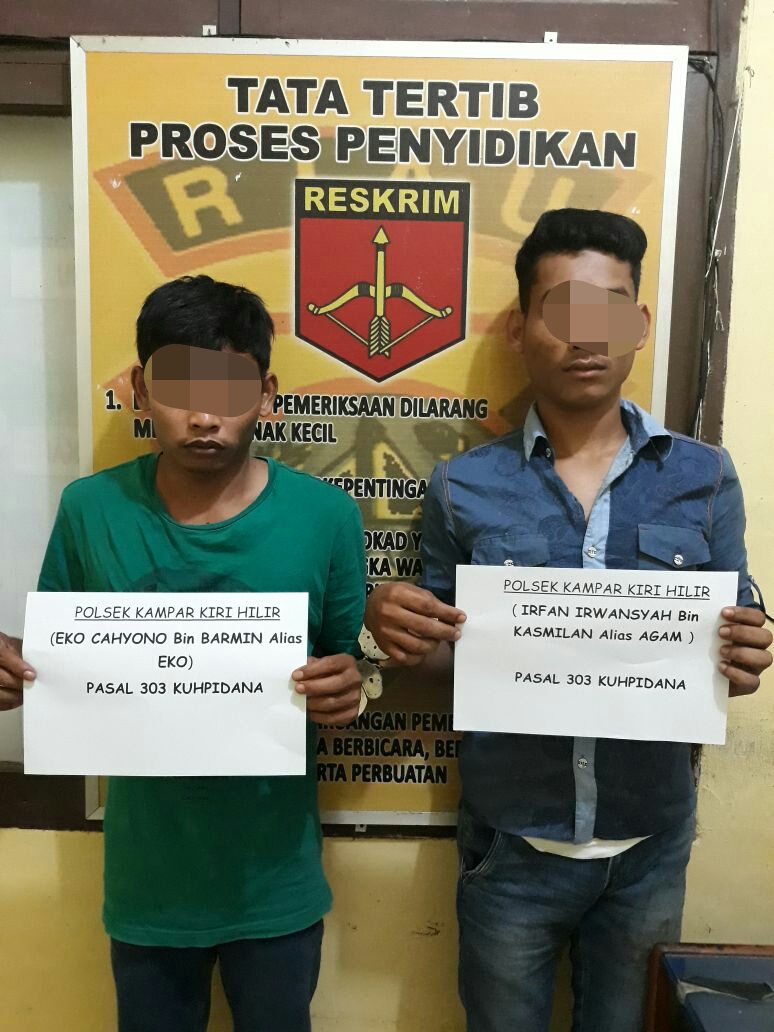 Main Judi Song, 2 Warga Siak Hulu Diringkus Polsek Perhentian Raja