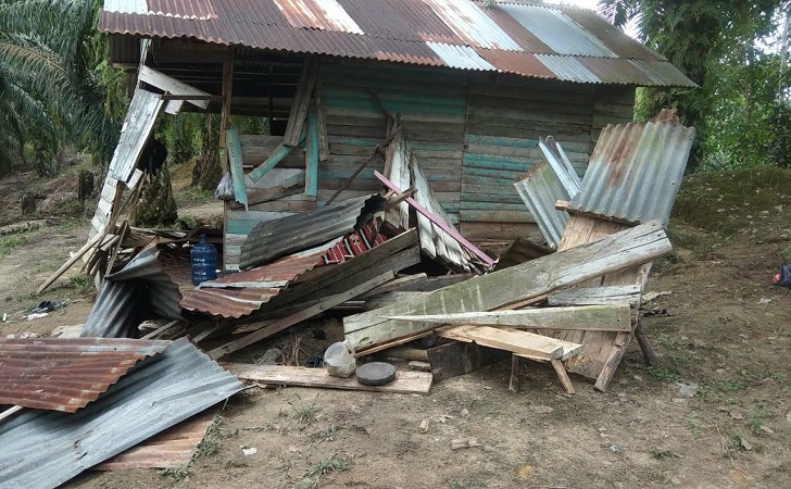 Rumah Dirusak Kawanan Gajah Liar, Warga Kota Garo Mengungsi