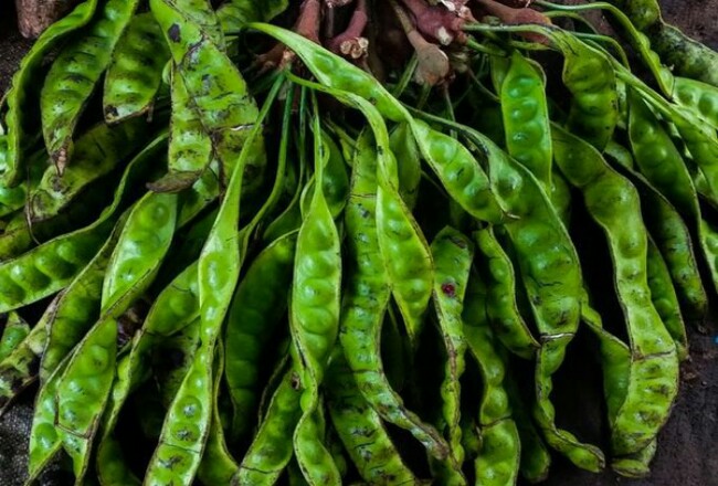 Ini 10 Manfaat Konsumsi Petai, Bisa Atasi Sembelit hingga Obati Diabetes