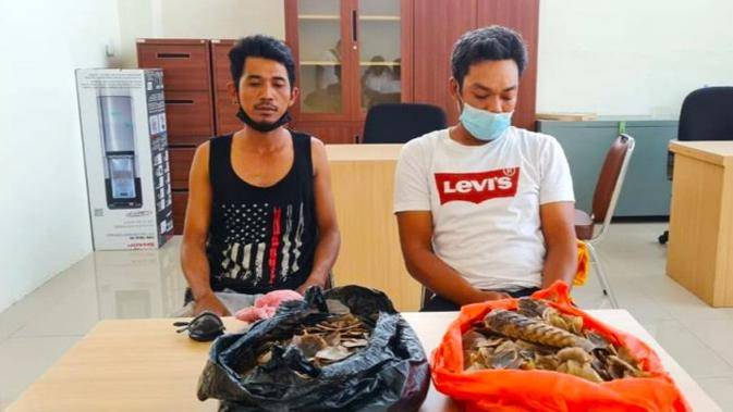 Polisi Gagalkan Penjualan 3,4 Kilo Sisik Trenggiling dari Siak 
