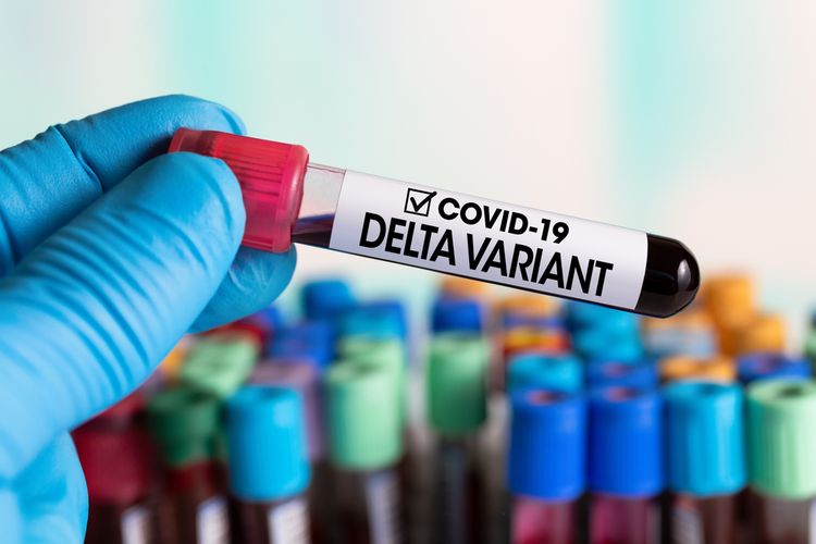 Kemenkes: COVID-19 Varian Delta Menular Hanya Dalam 15 Detik 