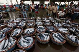 Harga Ikan Bakal Naik Jelang Ramadan, Ini Daftarnya