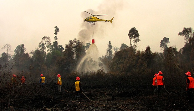 Padamkan Karhutla Daerah Sulit Dijangkau, BPBD Riau Ajukan Bantuan Helikopter
