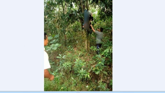 Kecelakaan Maut, Pria Terpental Sampai Nyangkut di Pohon Akhirnya Meninggal