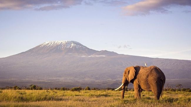 Objek Wisata Alam di Tanzania Selain Kilimanjaro