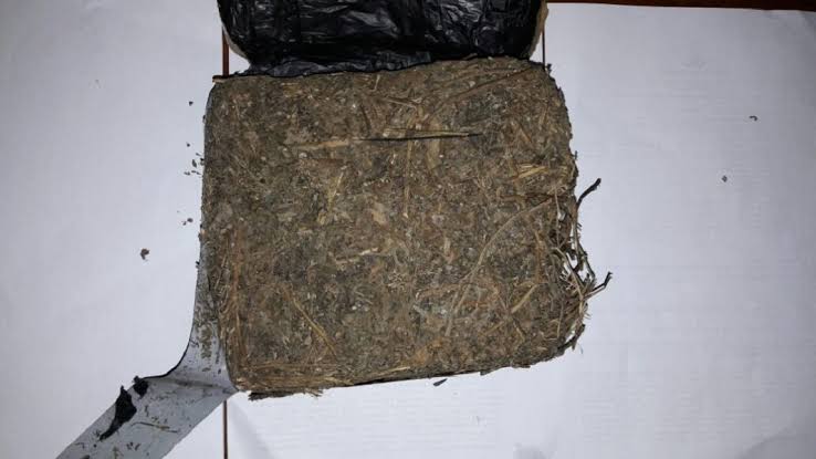 Perwira di Polda Maluku Terancam Dipecat Sebab Tertangkap Tangan Simpan 692 Kg ganja