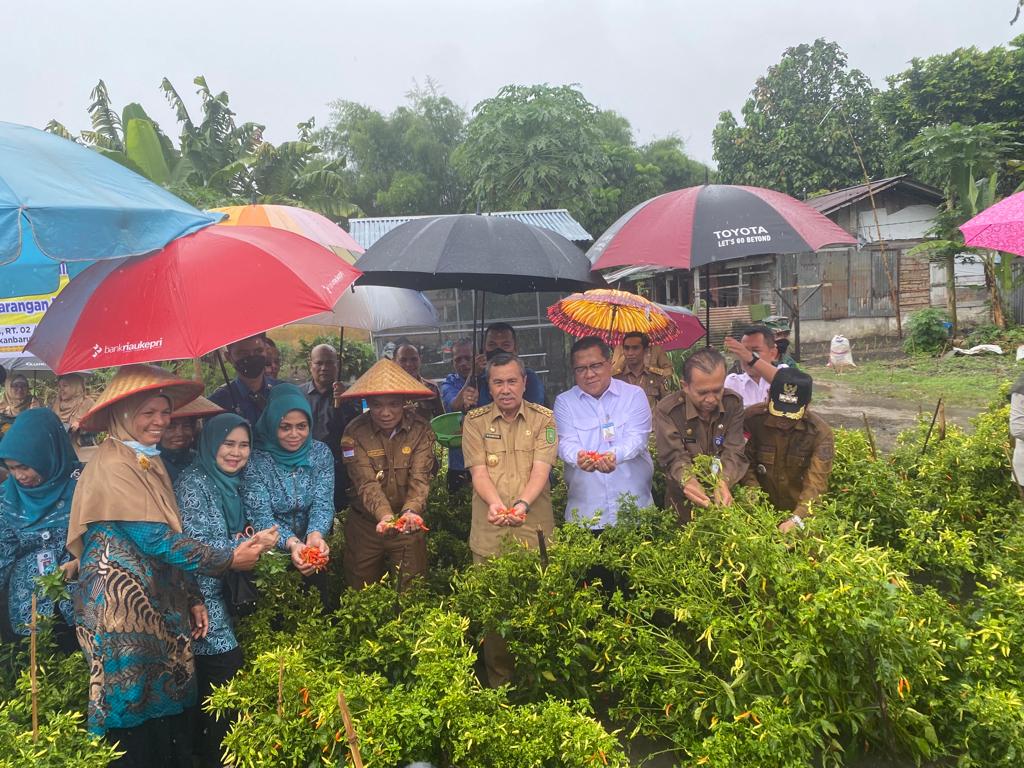 Pre Launching GNPIP, TPID Provinsi Riau Resmikan Gerakan Tanam 65 Ribu Bibit Cabai 