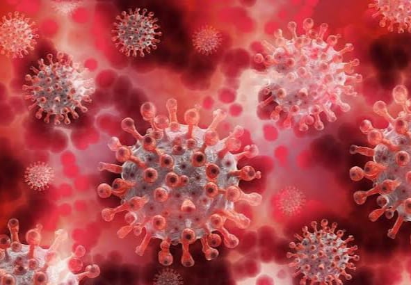 Meningkat, Positif Covid-19 di Riau Bertambah 555 Kasus
