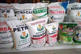 Harga Sawit  Melambung, Petani Keluhkan Pupuk dan Racun mahal
