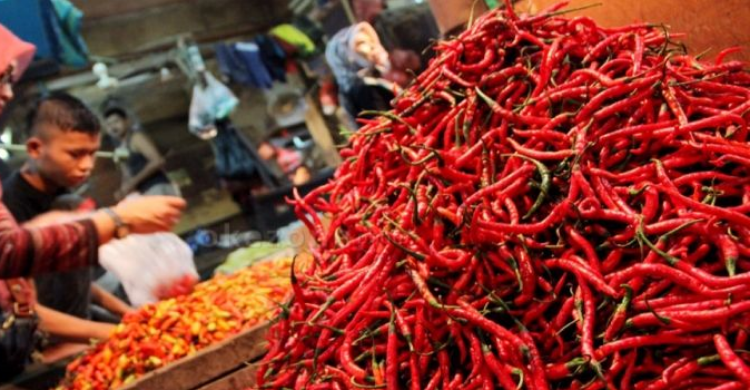 Harga Cabai Meroket, Ikatan Pedagang Pasar 
