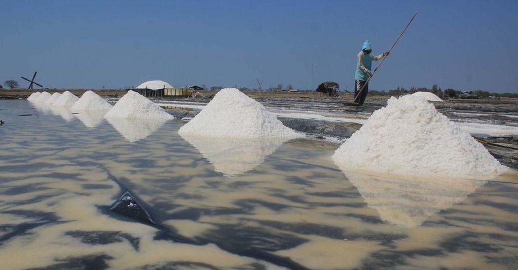 Kemenko Marves Ungkap Dua Masalah Utama Produksi Garam Nasional